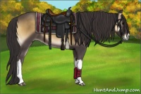 Horse Color:Smoky Blue Onyx 
