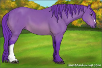 Horse Color:Watercolor Bay