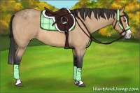 Horse Color:Buckskin Roan Splash