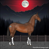 Horse Color:Buckskin Tobiano
