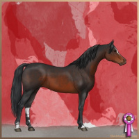 Horse Color:Brown Sabino