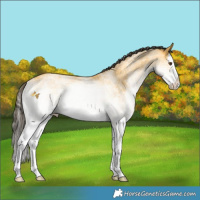 Horse Color:White Spotted Buckskin Dun Splash 