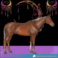 Horse Color:Chestnut Mushroom Tobiano