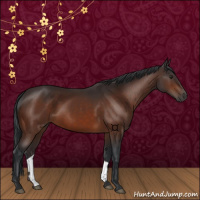 Horse Color:Brown 