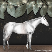 Horse Color:Gray Bay Frame