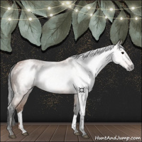 Horse Color:Gray Bay