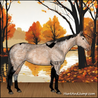 Horse Color:Void Bay Ice Dun Tobiano