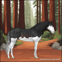 Horse Color:Brown Splash