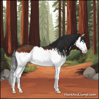 Horse Color:Brown Splash