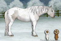 Horse Color:Silver Black Tobiano Rabicano 