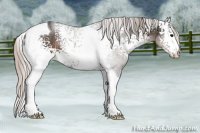 Horse Color:White Spotted Silver Black Tobiano 