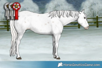 Horse Color:Silver Black Sabino 