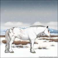Horse Color:Silver Buckskin Sabino 