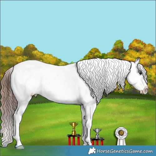 Horse Color:Brown Dun Splash Tobiano Appaloosa 