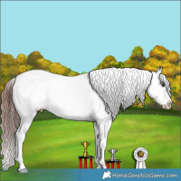 Horse Color:Brown Dun Splash Tobiano Appaloosa 