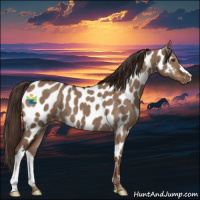 Horse Color:Liver Red Dun Appaloosa 