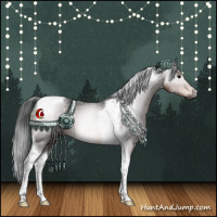 Horse Color:Gray Brown Tobiano 