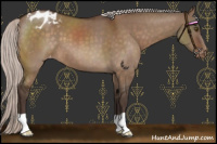 Horse Color:Silver Brown Dun Varnish 