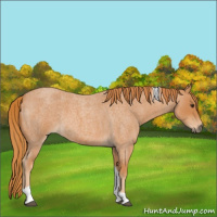 Horse Color:Red Roan Tobiano 