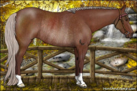 Horse Color:Chocolate Silver Brown Rabicano 
