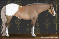 Horse Color:Silver Brown Dun Sabino Snowcap 