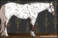 Horse Color:Chocolate Silver Brown Near Leopard 