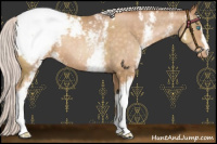 Horse Color:White Spotted Chocolate Silver Buckskin Pearl Snowcap 