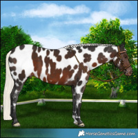 Horse Color:Liver Chestnut Mushroom Near Leopard