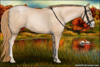 Horse Color:Gold Champagne Pearl Rabicano and Gold Champagne Pearl Rabicano