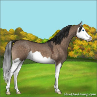 Horse Color:Brown Roan Dun Splash 