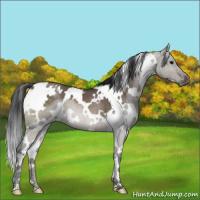 Horse Color:White Spotted Brown Dun Mushroom 