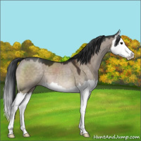 Horse Color:Brown Dun Mushroom Splash 