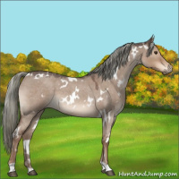 Horse Color:White Spotted Liver Red Dun Roan Mushroom 