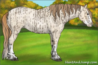 Horse Color:Smoky Grullo Roan Sabino Splash  and Smoky Grullo Roan Pearl Sabino Splash 