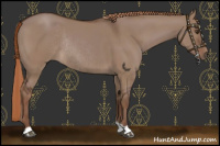 Horse Color:Liver Red Dun Rabicano 