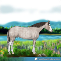 Horse Color:White Spotted Classic Champagne Roan Splash 