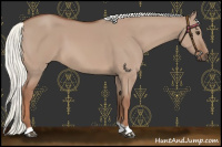 Horse Color:Red Dun Mushroom 