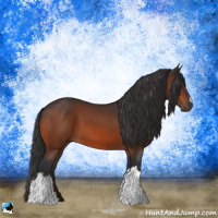 Horse Color:Brown 