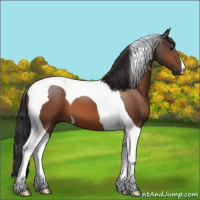 Horse Color:Bay Tobiano 