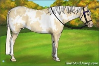 Horse Color:White Spotted Silver Classic Champagne Dun Frame Rabicano 