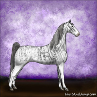 Horse Color:White Spotted Blue Roan Varnish Rabicano and White Spotted Blue Roan Varnish Rabicano