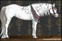 Horse Color:White Spotted Blue Roan Near Leopard Rabicano  and White Spotted Blue Roan Near Leopard Rabicano 
