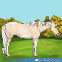 Horse Color:Silver Buckskin Pearl Tobiano Frame 