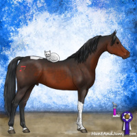 Horse Color:Brown Tobiano 