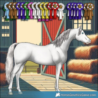 Horse Color:Smoky Creme 