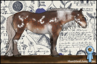 Horse Color:White Spotted Silver Brown Sabino Rabicano 