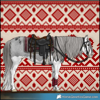 Horse Color:Black Splash Appaloosa 