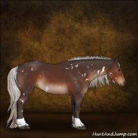 Horse Color:White Spotted Silver Brown Tobiano Rabicano 