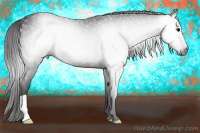 Horse Color:Gray Smoky Blue Roan 