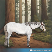 Horse Color:White Spotted Buckskin Roan Appaloosa Rabicano 